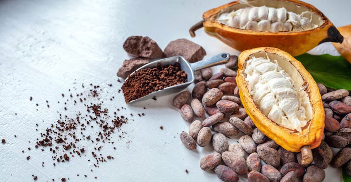 The Antioxidant Power of Cacao Powder