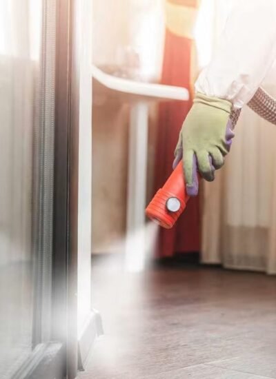 how-much-does-pest-control-cost-for-fleas-a-comple-1