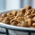 the-role-of-essential-fatty-acids-in-premium-pet-f-1