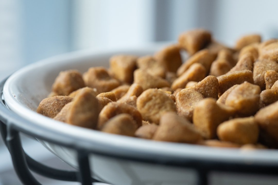 the-role-of-essential-fatty-acids-in-premium-pet-f-1